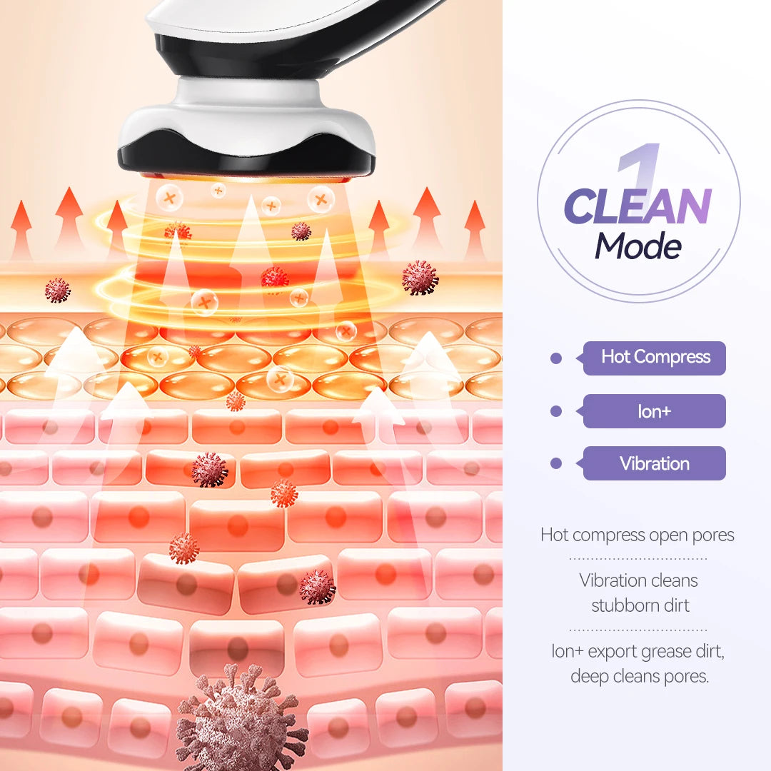 ANLAN EMS Facial Massager Face Lifting